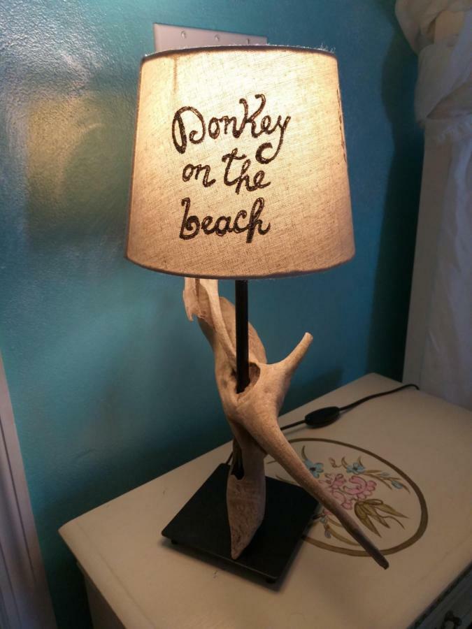 Donkey On The Beach Cobbs Cross Exterior photo